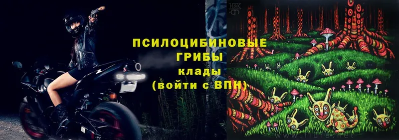 МЕГА вход  как найти   Рубцовск  дарк нет состав  Псилоцибиновые грибы мухоморы 